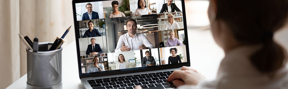 Virtual Team Meeting