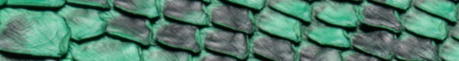 Green Snake Scales