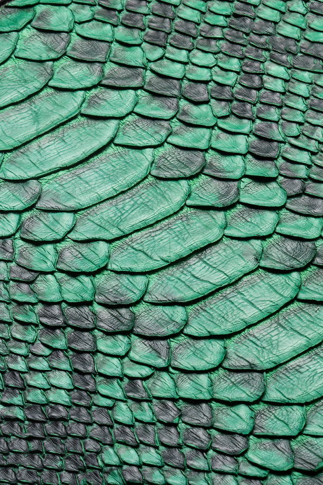 Écailles de serpent vert