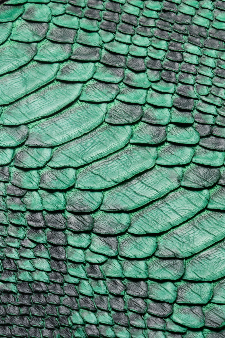 Green Texture