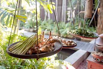 Fresh Lemongrass