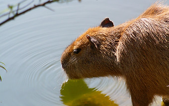 宇部協立病院　医師採用サイト