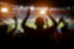 Stadium Fans