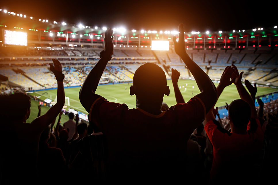 Stadium Fans