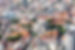 Luftaufnahme der Stadt