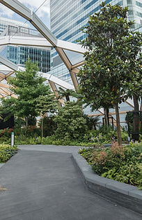 Modern Urban Garden