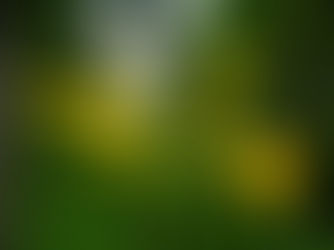 家の中で花粉症がひどくなる！花粉対策と原因についてご紹介