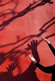 Shadow on Red Wall