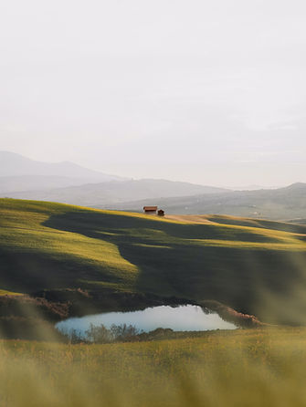 Scenic Hillside