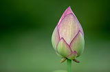 Hope of a new beginning after tragic pain.