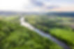 Rivière entourée d'arbres