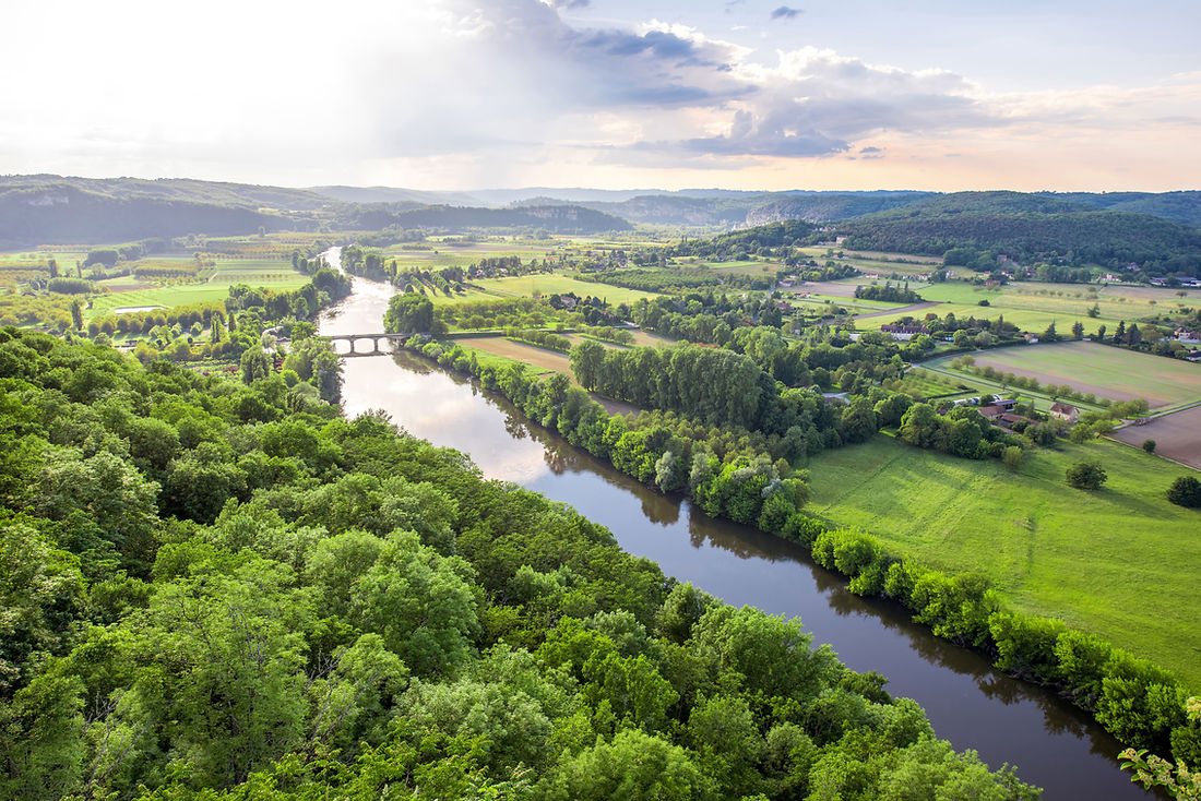 Rivière entourée d'arbres