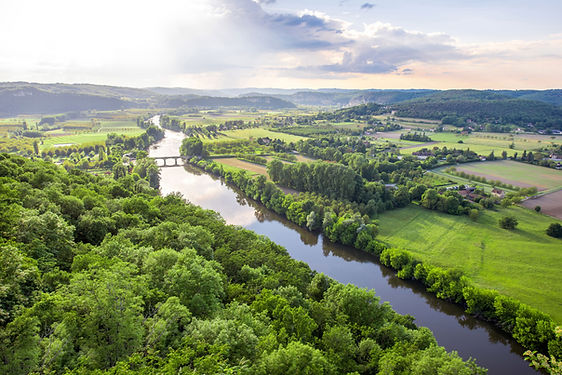 Rivière entourée d'arbres
