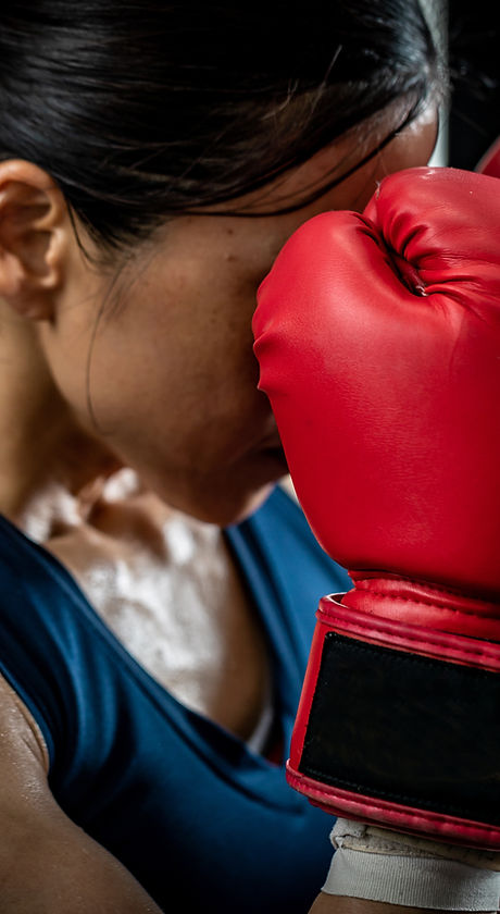 Boxing Gloves