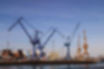 Muelle