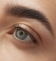 Close-Up Eyebrow