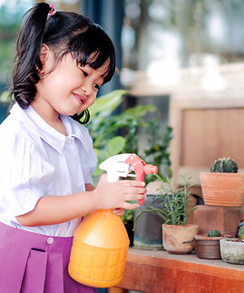 A girl watering cactus
