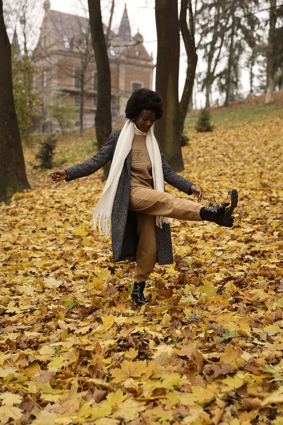 Autumn Leaves Stroll