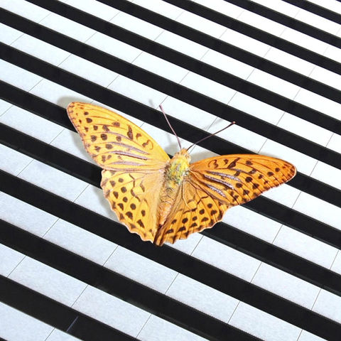 Unfiltered: When God Defines Beauty