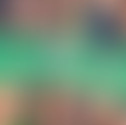 Venecia: La Ciudad que Emergió de las Aguas - Orígenes y Leyendas de una Metrópolis Flotante