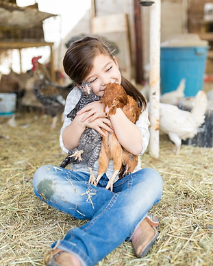 Ferme avicole