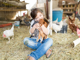 Enfant logé par ses parents et qualification de libéralité au moment de la succession : l’intention libérale ne se présume toujours pas !