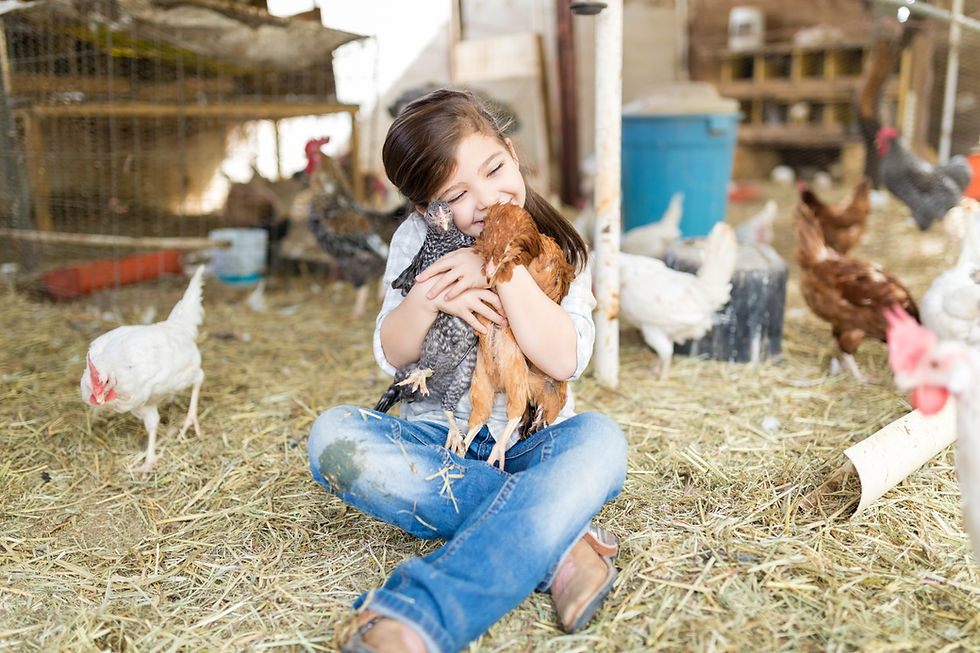 Girl Hugging Chicken