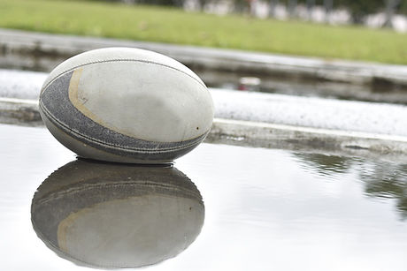 Rugby Ball Reflection