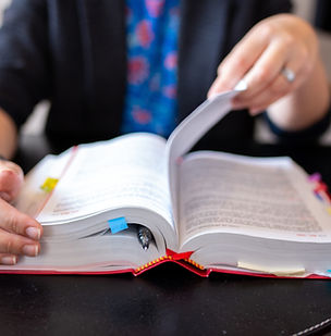 PPWR, CSRD und weitere Gesetzesänderungen für 2025 bezüglich Verpackungen und Verbraucherschutz