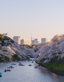 川遊び