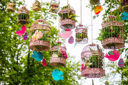 Decorative Bird Cages