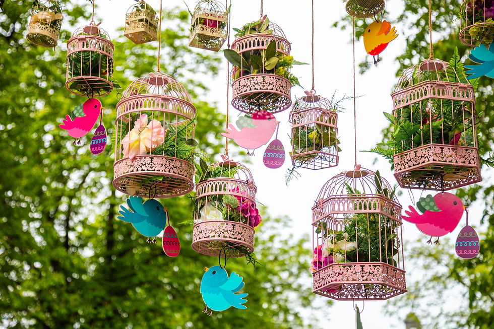 Decorative Bird Cages