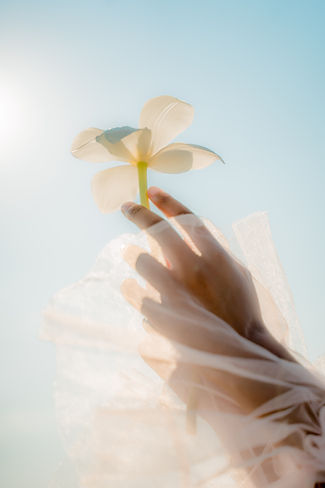 Hand hält Blume