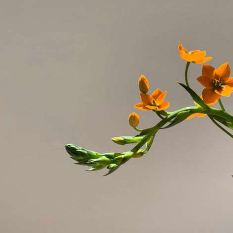 Verkkokaupan myynnin kasvattaminen – 7 tehokasta keinoa