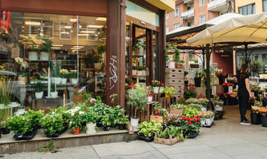 Ниязметова Ёқутхон Ботир қизи