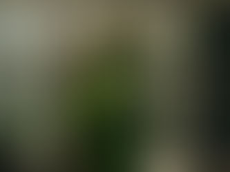 A Gardener's Guide to Digital Marketing (Hint - it's not just social media)