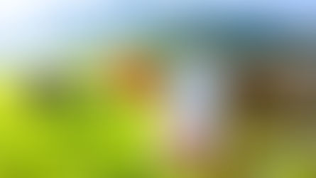 Kuhpocken: Ursachen, Symptome, Verbreitung und Impfung
