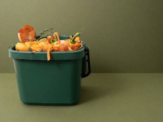 Kontener na odpady zielone