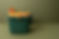 Organic Trash