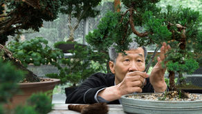 12 Tedious Hobbies That Can Help You De-Stress