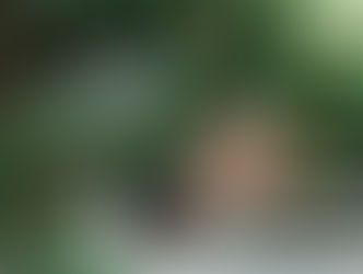 Man trimming bonsai tree with scissors, focused expression. Greenhouse setting with lush greenery. Brush on wooden table. Peaceful mood.