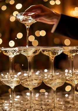 Wedding reception
Drinks reception
