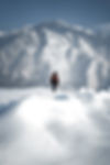 Mountain Hiker