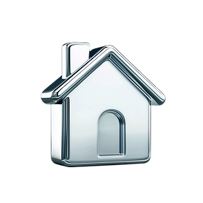 Chrome House Icon