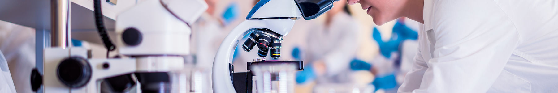 Laboratory