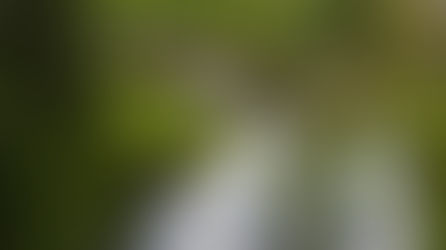 Publikation: Booking.com – Sustainable Travel Report 2022