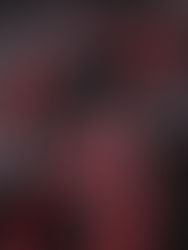 “Can We Just Graduate Already?”: Why the Last Week of Senior Year Matters More Than You Think