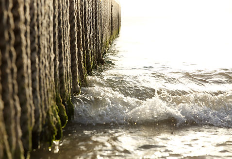 Waves