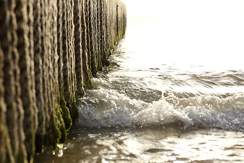 Waves