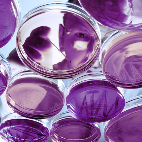 The Rise of Phage Warriors: Revolutionizing Antibiotic Alternatives